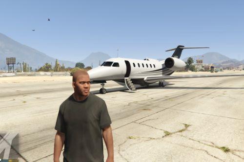 Nimbus and Volatus from Finance and Felony DLC